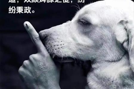 什么狗什么命：成语中的狗与命运之说