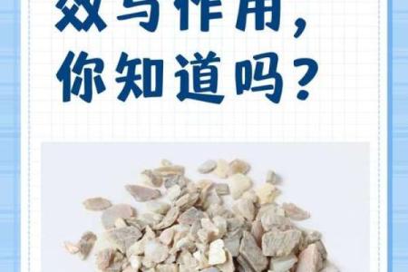 珍珠与命运：她们的美丽与智慧交织的生活之旅