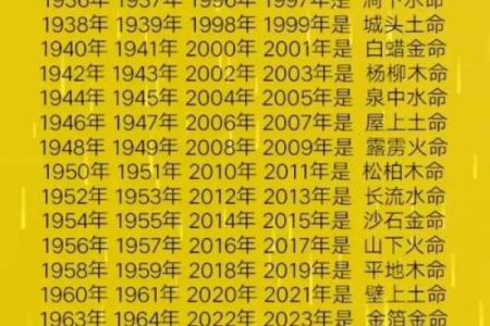 2001年土命解析：挖掘土命人的独特魅力与运势