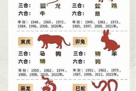 生肖命理：解读你的命运与性格，探秘十二生肖的秘密