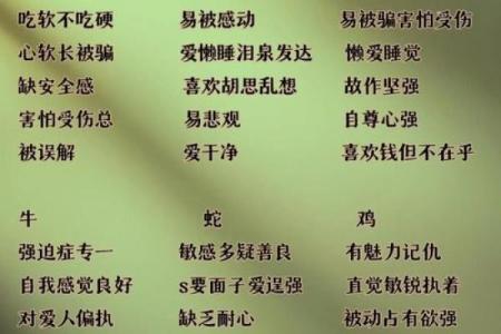 1958年出生的生肖与命运解读：探寻人生的秘密与方向