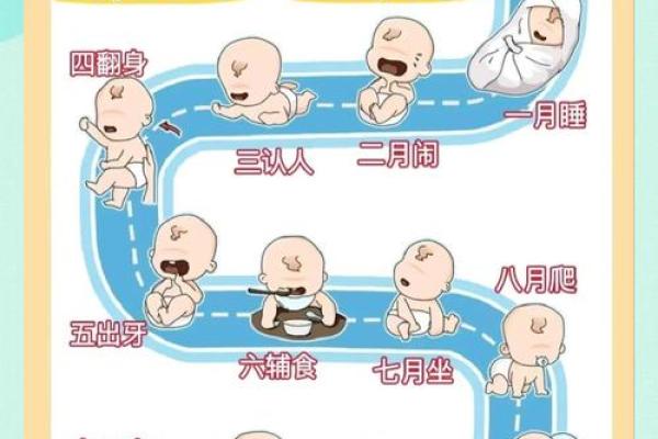 2023年出生的宝宝命格解析：如何做好全面的养育准备？