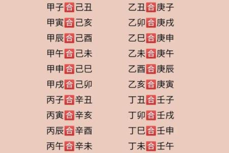 壬寅之命解析：揭秘背后的深意与命运轨迹