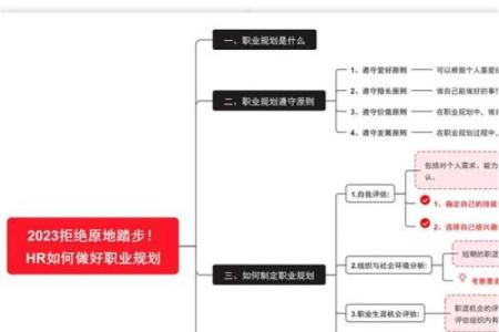 甲木命女人适合的职业选择与发展路径探讨