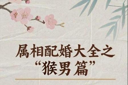 猴年男孩命运解析：哪个生肖最适合？