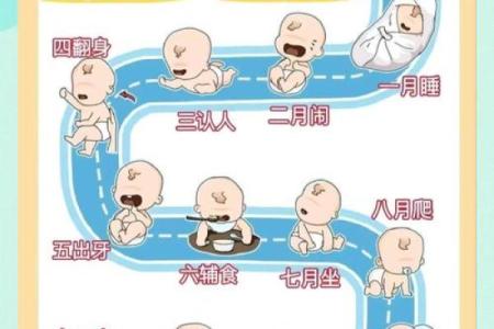 2023年出生的宝宝命格解析：如何做好全面的养育准备？