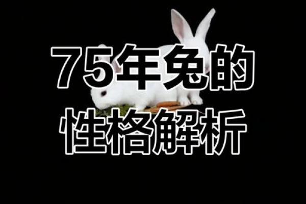 1986年兔年出生者的命运与性格探讨 1986年兔年出生者的命运与性格探讨