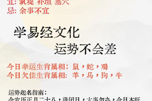 鼠年腊月26的命理解析：揭示你的命运与性格特点！