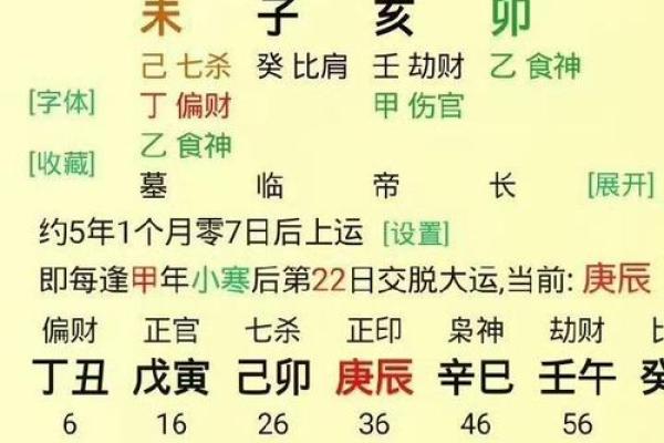 癸亥年生人的命运解析:亥时出生的独特影响与人生轨迹 癸亥年生人的命运解析:亥时出生的独特影响与人生轨迹