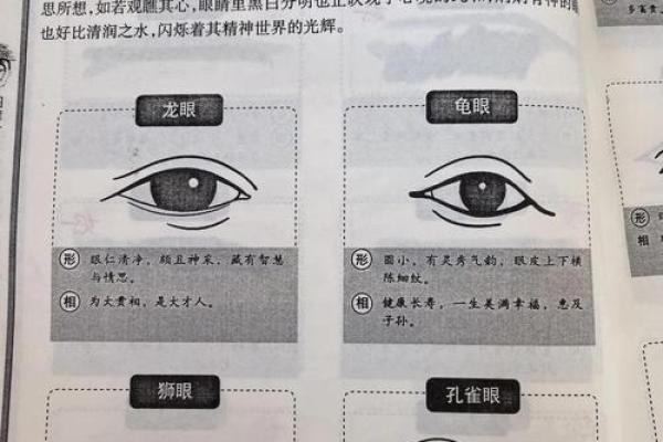 男人的眼眉形状与命运的秘密探寻