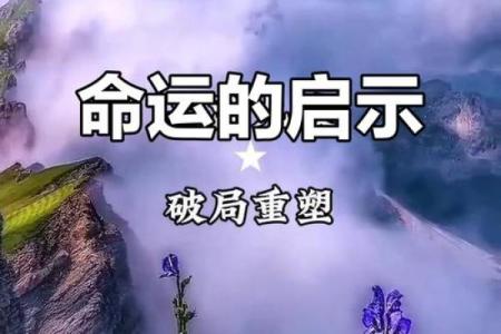 命运尽在掌握中，别让它如风而逝