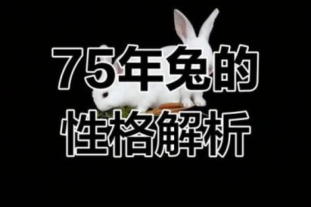 1986年兔年出生者的命运与性格探讨