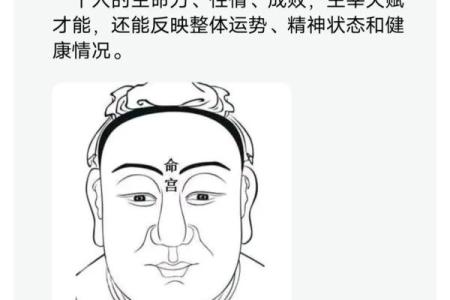 男人的眼眉形状与命运的秘密探寻