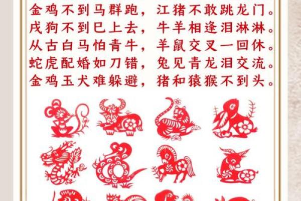 69年属什么生肖：揭开1969年的命运之谜与生肖魅力