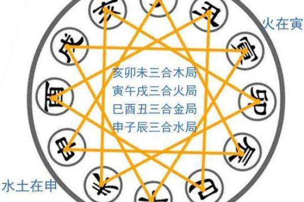 正月生日的命运解析:揭开你与众不同的命理奥秘 正月生日的命运解析:揭开你与众不同的命理奥秘