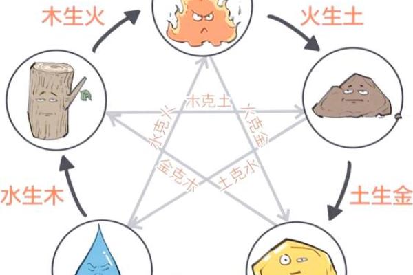 命理学的基石：五行与阴阳的和谐运作
