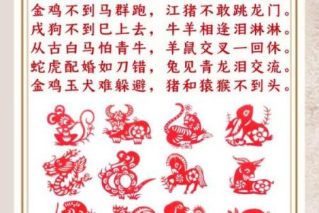 69年属什么生肖：揭开1969年的命运之谜与生肖魅力