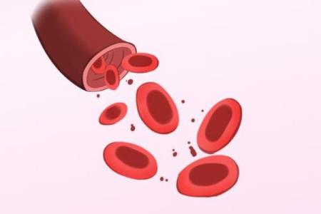 男生哪种血型命最好？解密血型与运势的关系！