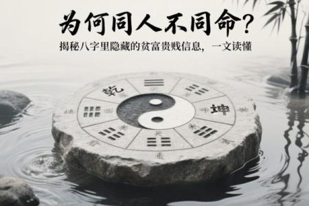 命同人不同命：人生的不同轨迹与命运的交织