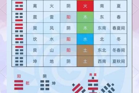 命理学的基石：五行与阴阳的和谐运作