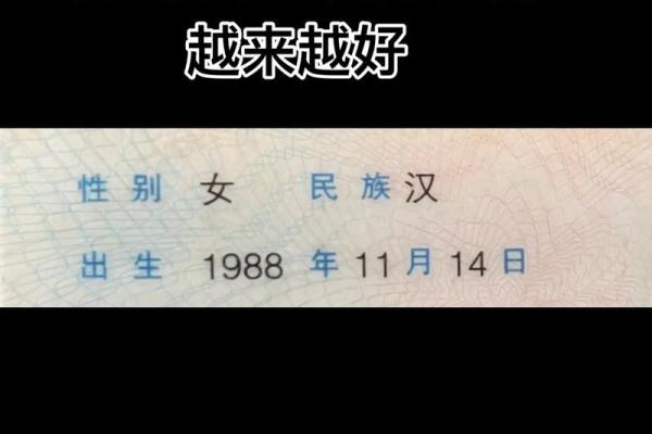 1988年出生的龙命:性格特点与缺失之解密 1988年出生的龙命:性格特点与缺失之解密