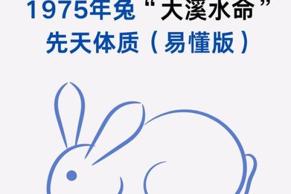 1975年属兔:探寻生肖兔的命运与性格特点 1975年属兔:探寻生肖兔的命运与性格特点