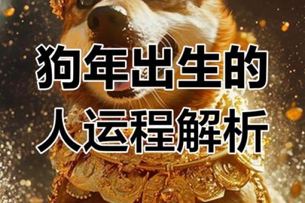 2024年属狗者的命运与运势解析：如何掌握机会与挑战