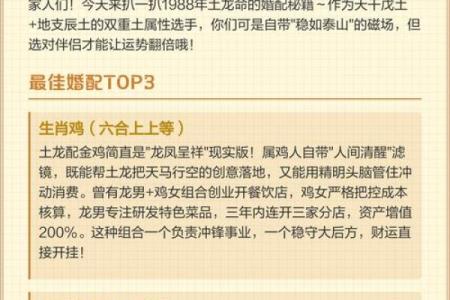 1988年出生的龙命：性格特点与缺失之解密
