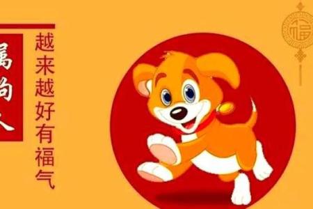 2024年属狗者的命运与运势解析：如何掌握机会与挑战