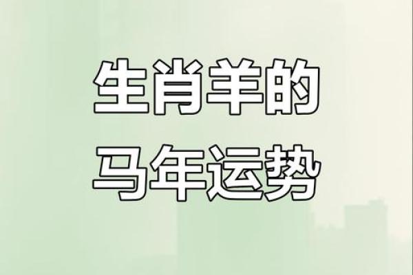 七月出生的羊命理解析：命里缺什么与如何改善生活运势