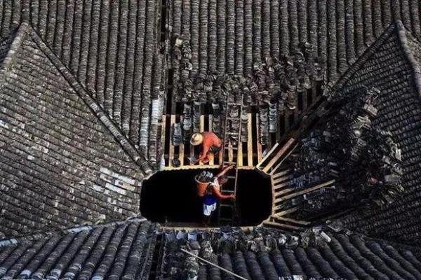 阴阳借命:探寻命运背后的奥秘与智慧 阴阳借命:探寻命运背后的奥秘与智慧