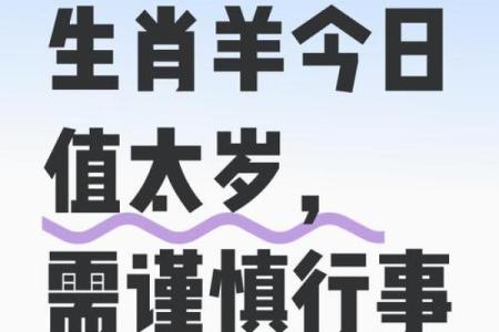 七月出生的羊命理解析：命里缺什么与如何改善生活运势