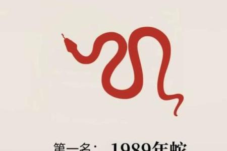 2024年生肖蛇：揭示你的命运与好运之路