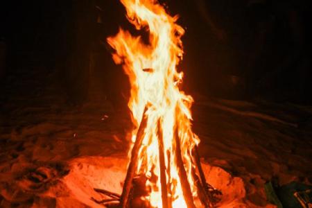 阴阳借命：探寻命运背后的奥秘与智慧