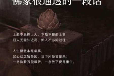 一个人的选择：为什么和尚选择出家和修行真谛