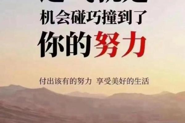从命运的角度看人生，如何把握机会与挑战