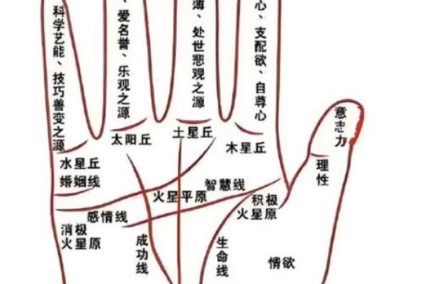 掌握命格，揭秘手相算命的奥秘与准确性！