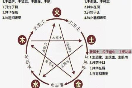 五行缺失与命运之道：如何通过五行平衡提升生活质量