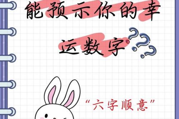 揭秘命理：数字与人生的神秘关联与搭配