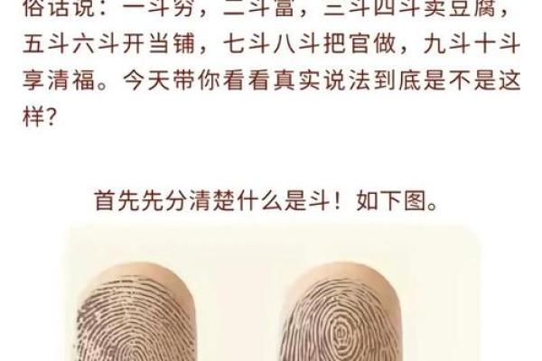 手纹中的“簸箕”象征什么？揭示神秘命运之旅！