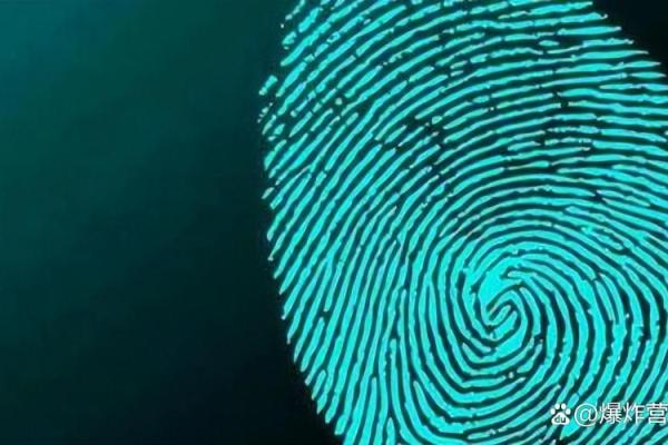 手纹中的“簸箕”象征什么？揭示神秘命运之旅！