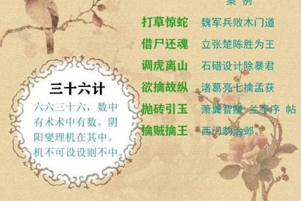 探寻“命卒”背后的深刻含义与成语的智慧 探寻“命卒”背后的深刻含义与成语的智慧