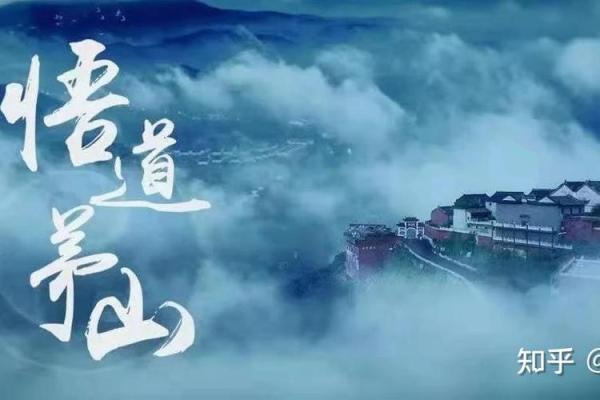 贫命之人：寻找生命的另一种富足