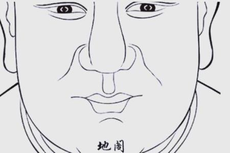 2024年小青龙命：探索命理的奥秘与运势分析