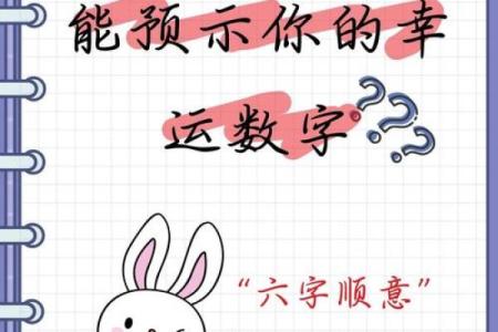 揭秘命理：数字与人生的神秘关联与搭配