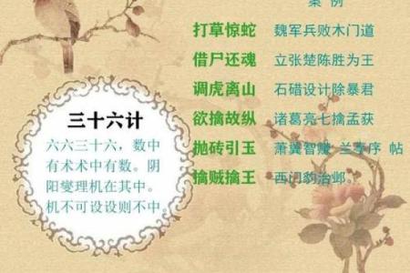 探寻“命卒”背后的深刻含义与成语的智慧