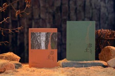 探寻“柳命”：在传统与现代交汇中重塑命运的智慧