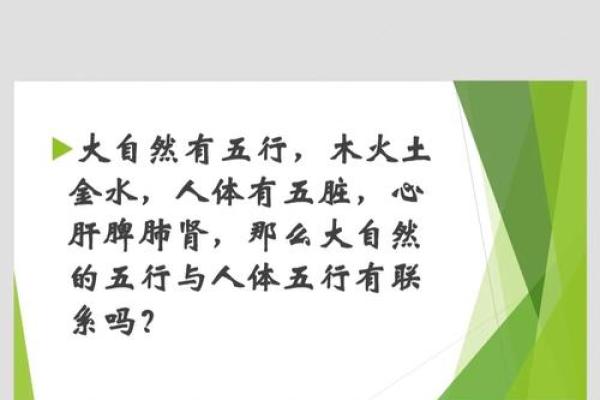 为什么木命人不适合戴黑曜石？探秘五行与健康的关系