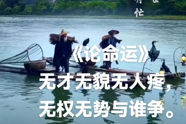 揭秘命运:为什么别人都命好,而我却不如人? 揭秘命运:为什么别人都命好,而我却不如人?