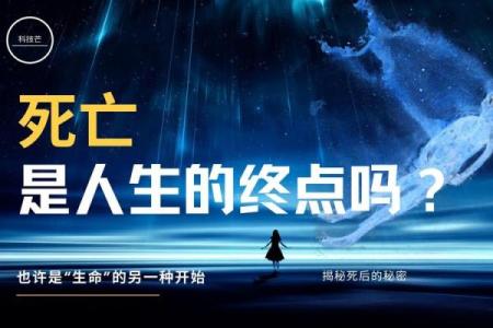 窥探命里玄机，揭示生命背后的奥秘